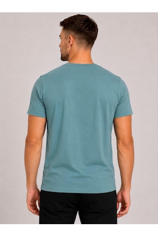 Axxel Erkek Mint Yeşil Pamuklu V Yaka Kısa Kollu T-shirt-d804 Mint Yeşili