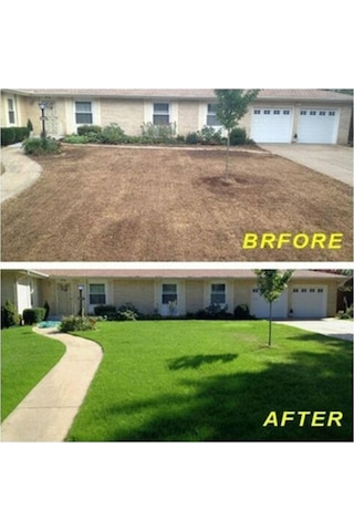 Pazly Yeşil Çim Halısı - Bahçe Ve Çim Alanlar İçin Kolay Büyütme Halısı