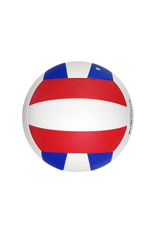 Avessa Black-crown Yapıştırma Voleybol Topu Çok Renkli