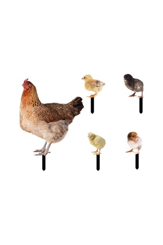 Suofeng Bahçe Dekorasyonu Piliç Şekilli Akrilik Toprak Takımı - Dış Mekan Bahçe Zemin Süs Yklu076