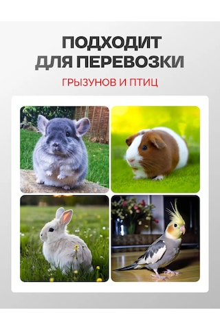 Loorı Kemirgenler, Kuşlar Ve Fareler İçin Taşıma Kafesi 31x20x22 138693990