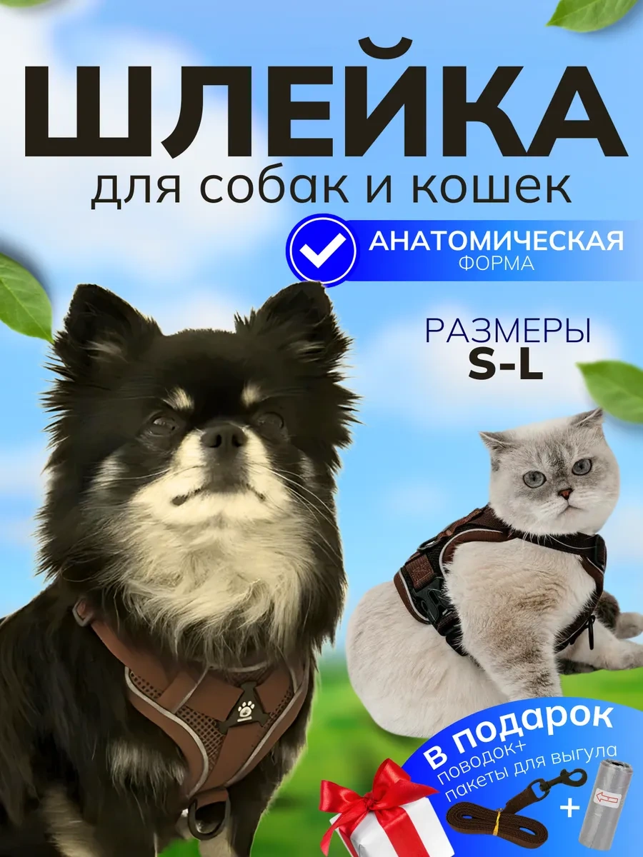 Stepico Kedi Ve Köpekler İçin Gezinti Yürüyüşü Tasması 310536823