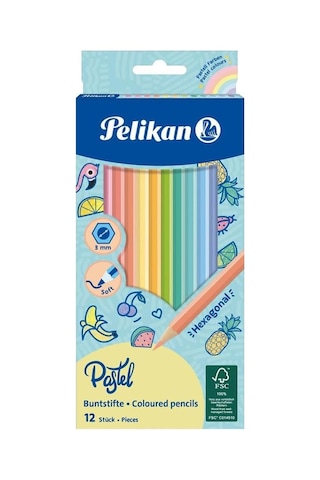 12 Li Pastel Renk Kuru Boya Kalemi Karton Kutu 1 Paket 12 Renk Kuruboya Tam Boy Renkli Kalem Diğer