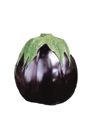 1001naturel Patlıcan Tohumu 10 Gram Topan 374 Tohum