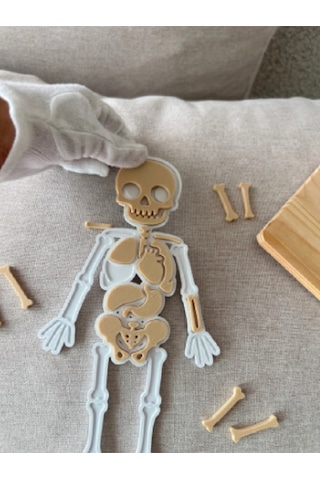 Montessori Eğitici İnsan Vücudu Yapbozu