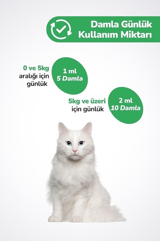 Kedi Tüy Döküm Dökülmesi Önleyici Engelleyici Damla Kediler Için Biyotin Multivitamin 50ml