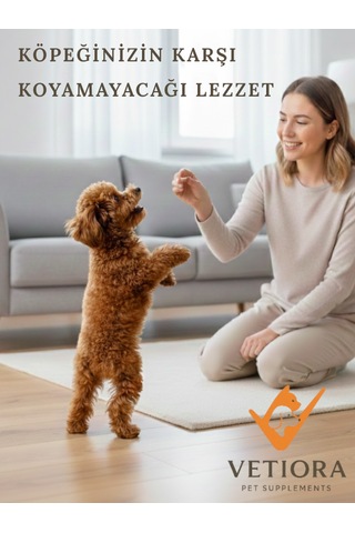Küçük Irk Köpekler İçin Ödül Bisküvisi, Eğlenceli, Daha Konsantre Ve Lezzetli Eğitim, 200gr