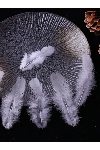 Kreativka Tavuk Tüyü. 50 Parça Set. 269108912