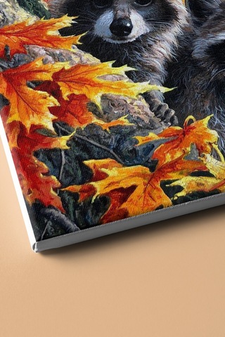 Webstyle Sayılarla Boyama Seti Kasnaklı Rakunlar 60 X 75 Cm