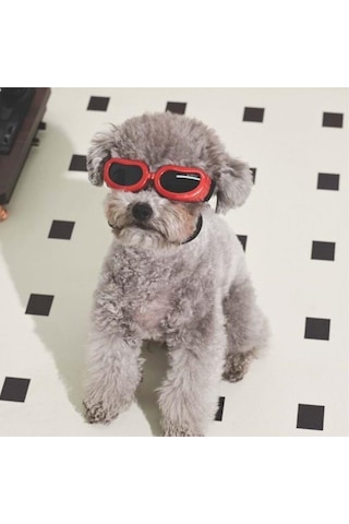 M-pets Sunny Daytrip Köpek Gözlüğü Kırmızı