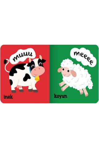 +1 Yaş Minik Kitaplar Hayvanlar Eolo Yayınları