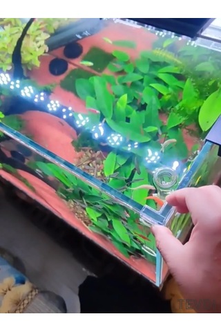 Tevdı Akvaryum Koruma Köşelikleri 4 Adet, Silikon, 5 Mm 307580340