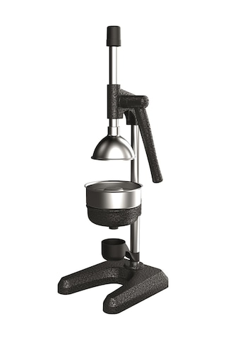 1701 Meyve Presi Industrıal Type Fruıt Press