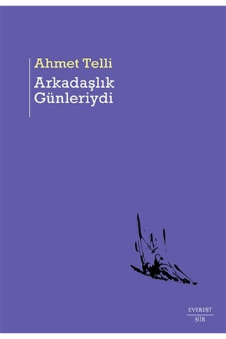 Arkadaşlık Günleriydi + Su Çürüdü Ciltli + Saklı Kalan + Okuma Sticker'ları