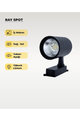 30w Siyah Ray Spot 4000k Gün Işığı Siyah