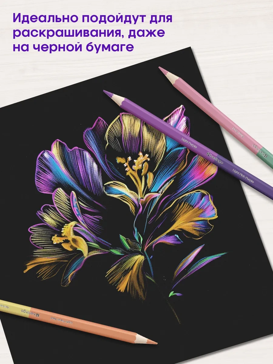 Berlingo Çift Taraflı Pastel Renkli Kalemler, 24 Renk 213826122 Gri