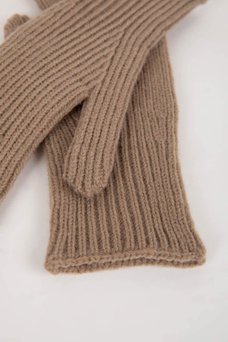 DeFacto Kadın Fonksiyonel Triko Eldiven C6839AX24WNBN62 Kahve