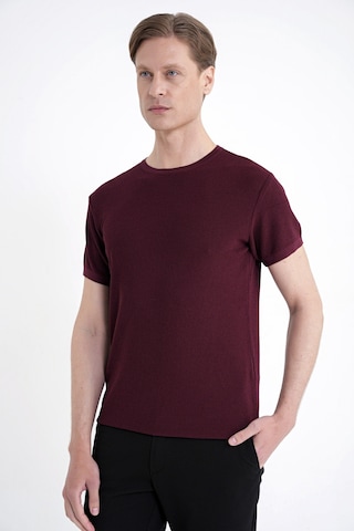 Efor Comfort Fit Rayon Karışımlı Bordo Bisiklet Yaka Tişört Ts 925