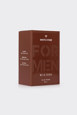 Wild Hero Erkek Eau De Parfum 100 Ml Fresh