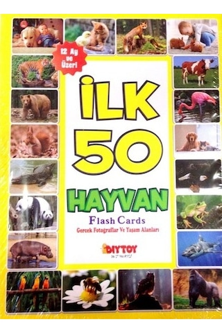 Diytoy İlk 50 Hayvan Flash Cards Hafıza  Kartları