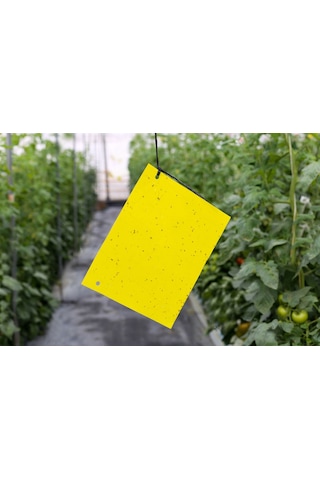 Sarı Yapışkan Kart Tuzak 25cmx10cm 10 Adet