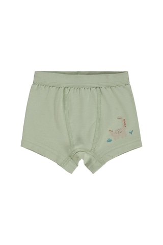 Civil Baby Dinazor 9-18 Ay Bebek Erkek Boxer - Standart