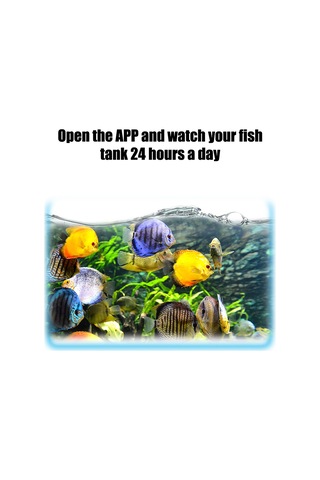 Vkemall Akvaryum Otomatik Yemleyici - Wifi İle Uzaktan Kontrol, Zaman Ayarı Ve Geri Sayım Özelliği, Farklı Yem Tipleri İçin Uyumlu