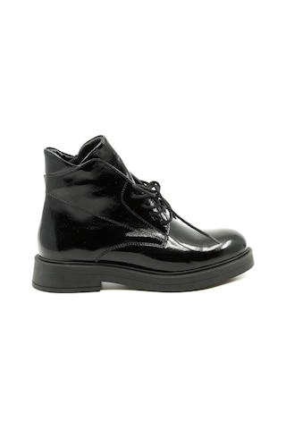 Dexter Tp7402-20 Renkli