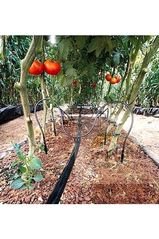 Saksı Sulama Ve Cocopeat Mikro Damlatıcı Aparat Seti