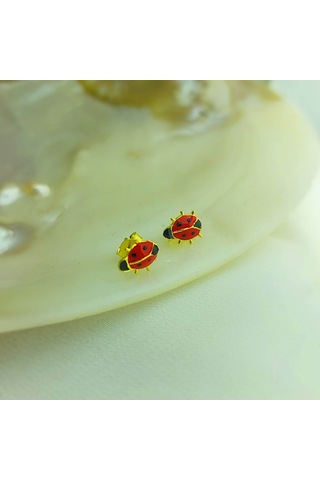 925 Ayar Gümüş Kırmızı Uğur Böceği Küpe Gold