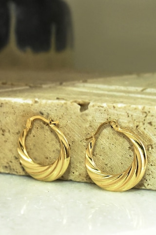 925 Ayar Gümüş Gold Kaplama Licuala Desenli Küpe