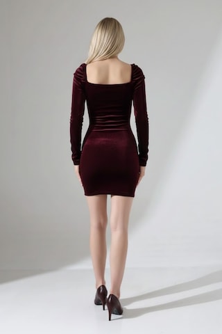 Zedefx Kadın Slim Fit Zarif Elbise Bordo