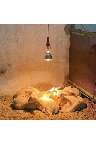 Anakucağı Isıtıcı Set , Dijital Termostatlı . Aydınlatmalı, Isıtıcı Lamba Hariç Set