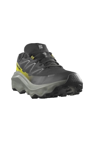 Salomon Ultra Flow 2 Gore-tex Erkek Ayakkabısı L47883200 Siyah