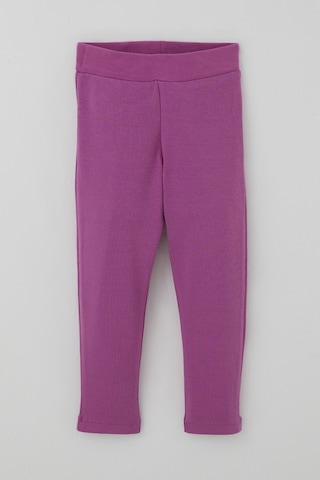 Breeze Kız Çocuk Tayt Basic 2-6 Yaş , Mor