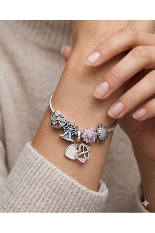 Kadın Oklu Kalp, Lunapark, Sallantılı Sonsuzluk Kalp, Pembe Taşlı Çiçek, Kaplumbağa Charmlı Çelik Kalp Kilit Bileklik 19 Cm Silver