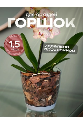 Elly Home Küçük Şeffaf Orkide Saksısı 171430253