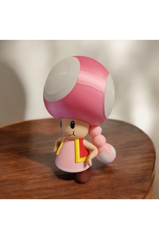 Super Mario Toadette