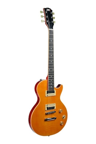 Dmx Guitars Dalp100 A Slash Afd Les Paul Elektro Gitar Taşıma Çantası Hediyeli