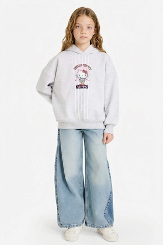 Defacto Kız Çocuk Hello Kitty Oversize Geniş Kalıp Kapüşonlu Sırt Baskılı İçi Yumuşak Tüylü Sweatshirt G6354a825wngr400 Gri-gr400