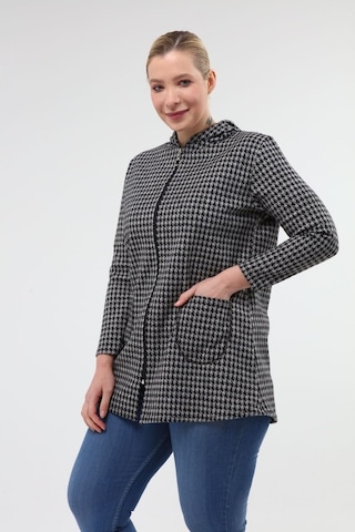 Büyük Beden Kapşonlu Sweatshirt 20C-1970 Çok Renkli