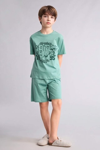 Defacto Baskılı Tişört Şort Pijama Takımı Erkek Çocuk G8829a826hsgn1095 Yeşil-gn1095