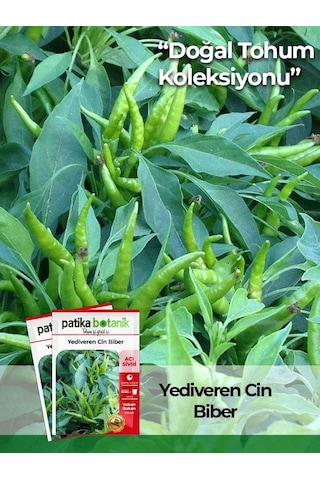 200 Adet Yediveren Cin Biber Tohumu Yukarı Bakan