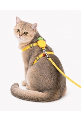 Getmeev Çilek Figürlü Zilli Kedi Göğüs Tasması Ve Gezdirme Kayışı Seti, Ayarlanabilir Göğüs Tasması Ve Gez