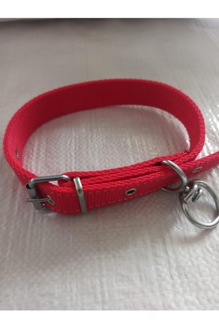 Büyük ve Orta Irk Köpek Tasması