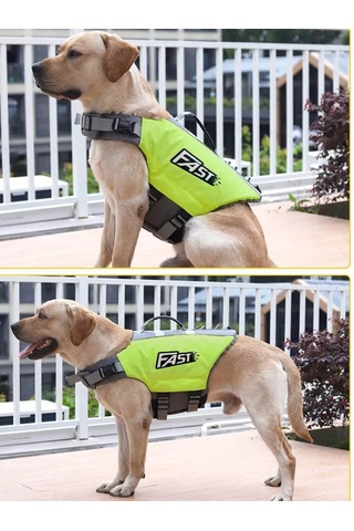 Köpekler İçin Yüzme Can Yeleği 242204756