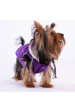 Pawstar Mor Railway Anorak Yelek Köpek Yeleği