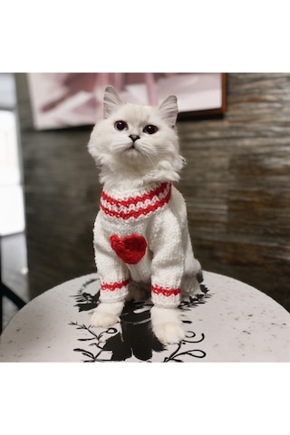Kedi Ve Köpek İçin Sevgililer Gününe Özel Beyaz Kazak
