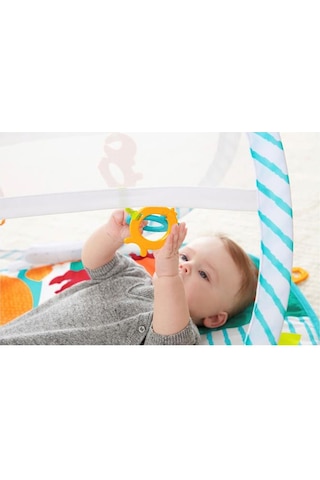 Fisher Price FXC15 Renkli Dostlar Taşınabilir Jimnastik Merkezi