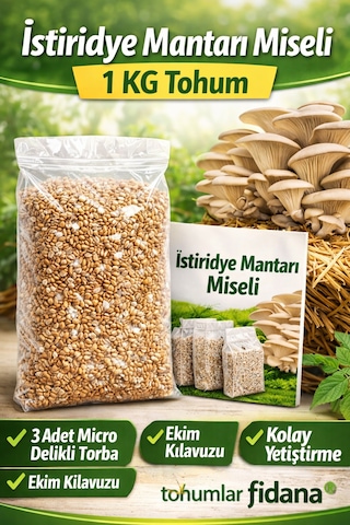 İstiridye Mantarı Miseli Tohumu Vakumlu 1 Kg Tohum 3 Adet Micro Delikli Torba Ekim Kılavuzu